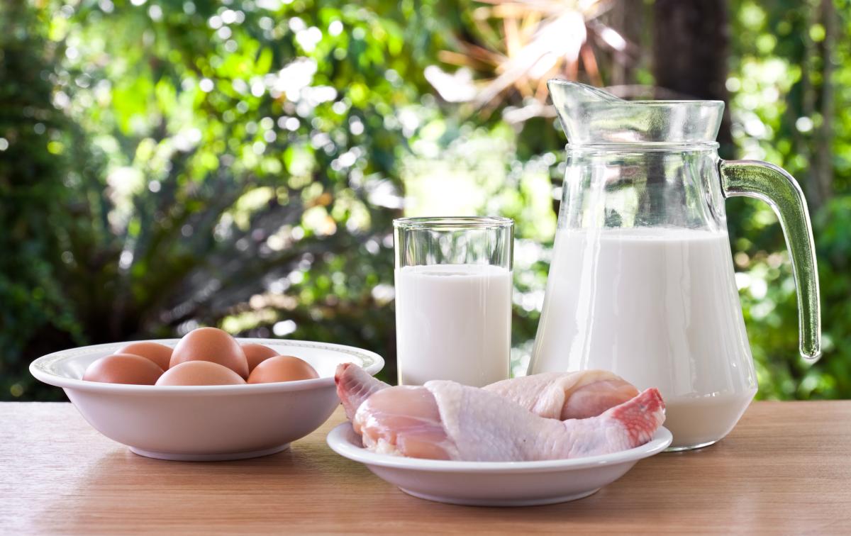 https://ru.freepik.com/free-photo/milk-drink-health-fat-healthy_1047370.htm#query=%D1%8F%D0%B8%D1%86%D0%B0%20%D0%BC%D0%BE%D0%BB%D0%BE%D0%BA%D0%BE%20%D0%BC%D1%8F%D1%81%D0%BE&position=44&from_view=search&track=ais