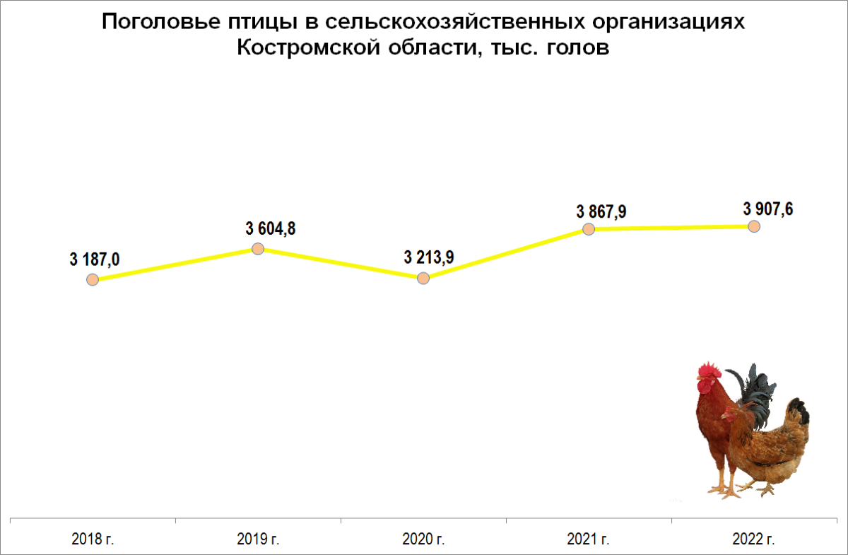 Поголовье птицы в сельхозорганизациях Костромской области