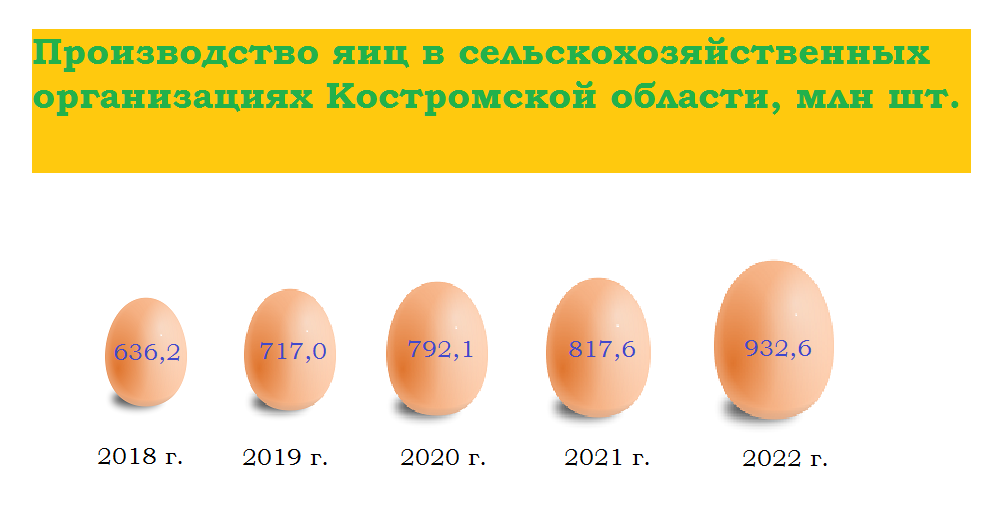 Производство яиц в сельхозорганизациях Костромской области 