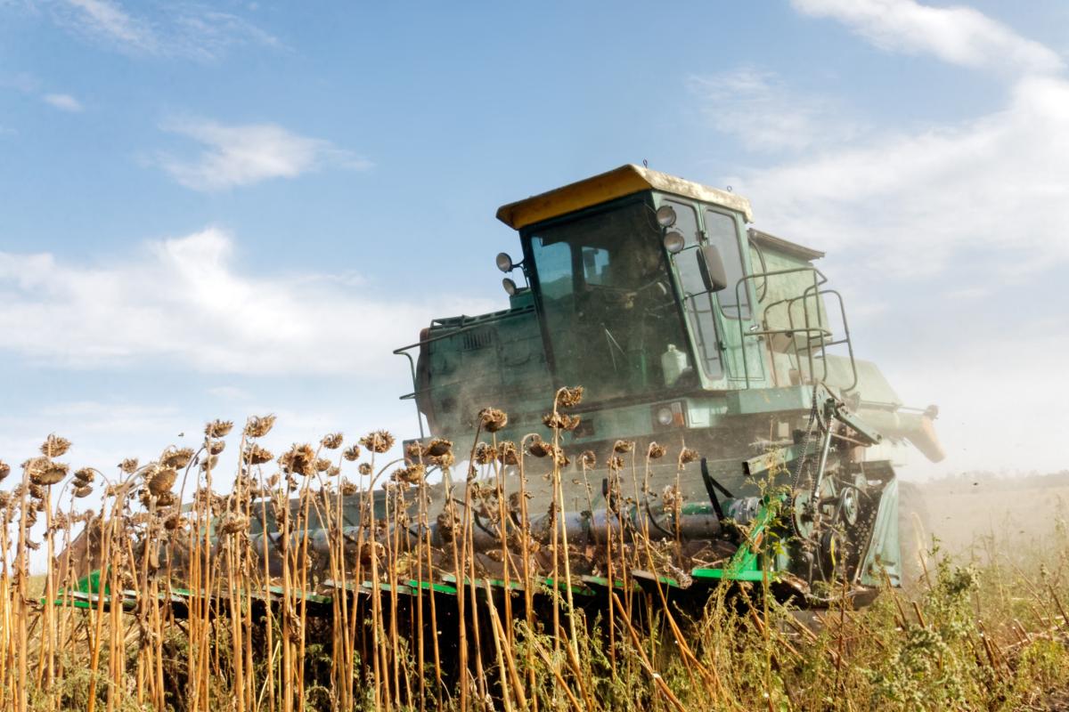 https://ru.123rf.com/photo_145462052_big-green-harvester-in-the-field-mowing-ripe-dry-sunflower-autumn-harvest-the-work-of.html?is_plus=1