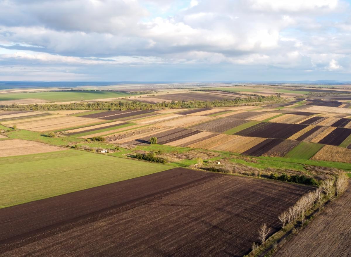 https://ru.freepik.com/free-photo/aerial-drone-view-of-nature-in-moldova-sown-fields-trees-rows-cloudy-sky_12875456.htm#query=%D1%81%D0%B5%D0%B2%20%D0%BF%D0%BE%D0%BB%D0%B5&position=26&from_view=search&track=ais