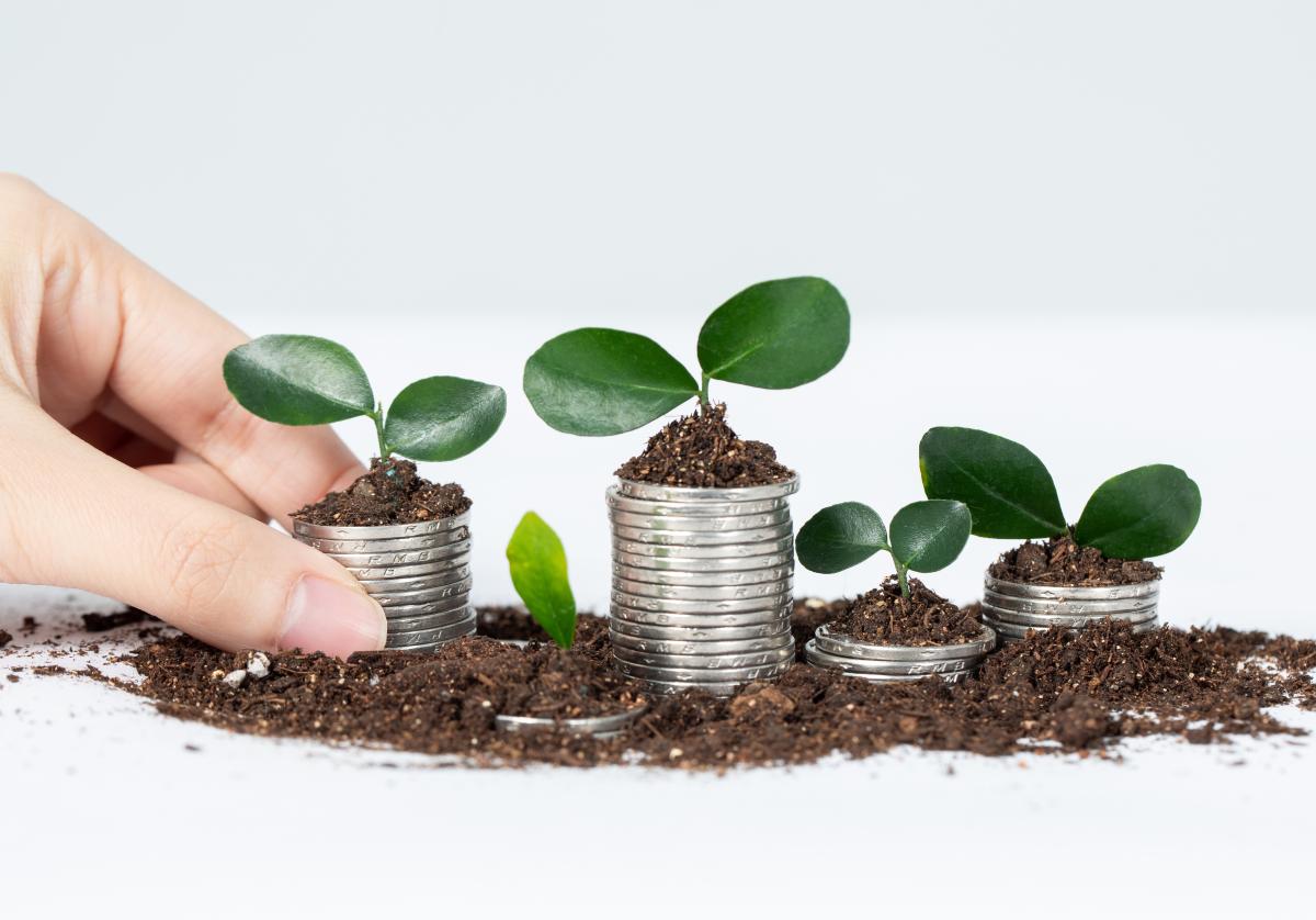 https://ru.freepik.com/free-photo/closeup-shot-of-tiny-plants-in-metal-containers-isolated-on-white-scene_17465657.htm#query=%D0%B4%D0%B5%D0%BD%D1%8C%D0%B3%D0%B8%20%D1%80%D0%B0%D1%81%D1%82%D1%83%D1%82&position=15&from_view=search&track=ais