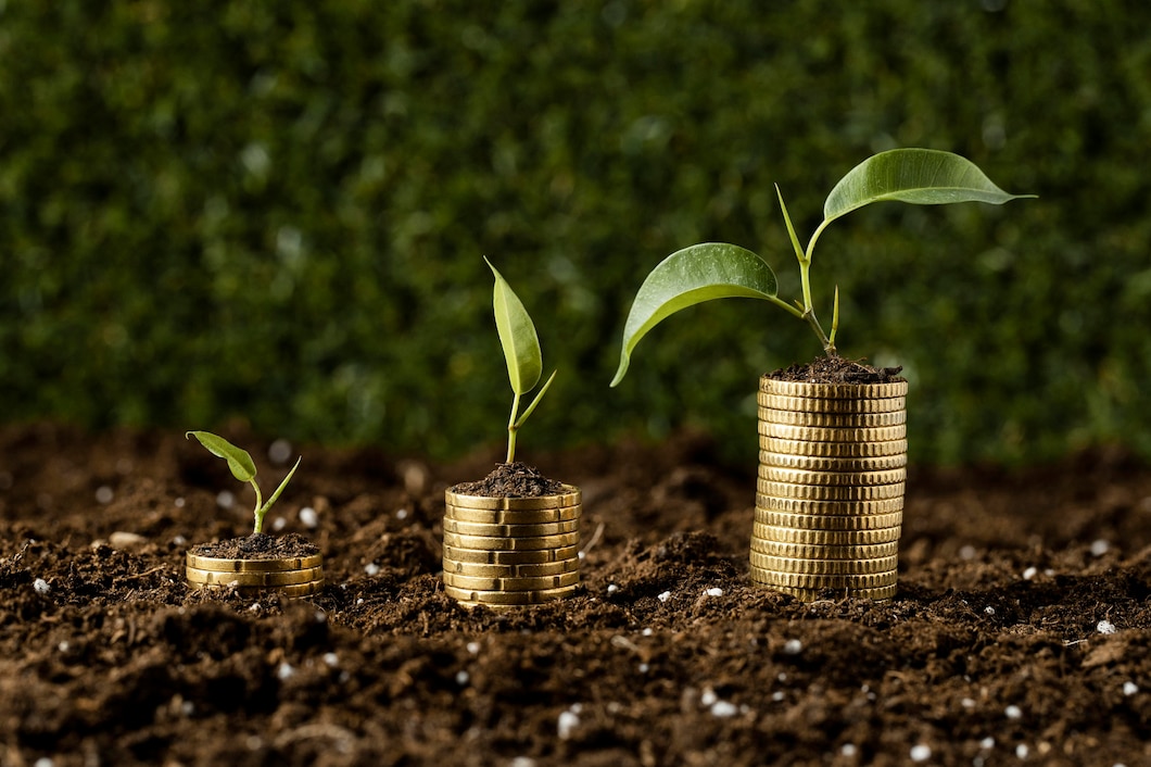 https://ru.freepik.com/free-photo/coins-stacked-on-dirt-with-plants_11764150.htm