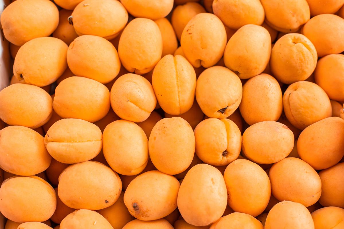 https://ru.freepik.com/free-photo/fresh-ripe-apricot-top-view-on-the-market_8994667.htm#page=4&query=%D0%B0%D0%B1%D1%80%D0%B8%D0%BA%D0%BE%D1%81%20%D1%83%D0%B1%D0%BE%D1%80%D0%BA%D0%B0&position=12&from_view=search&track=ais