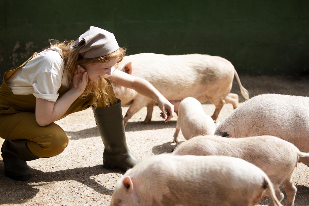 https://ru.freepik.com/free-photo/full-shot-woman-feeding-pigs_17254140.htm#query=%D0%BA%D0%BE%D1%80%D0%BE%D0%B2%D1%8B%20%D1%81%D0%B2%D0%B8%D0%BD%D1%8C%D0%B8&position=1&from_view=search&track=ais