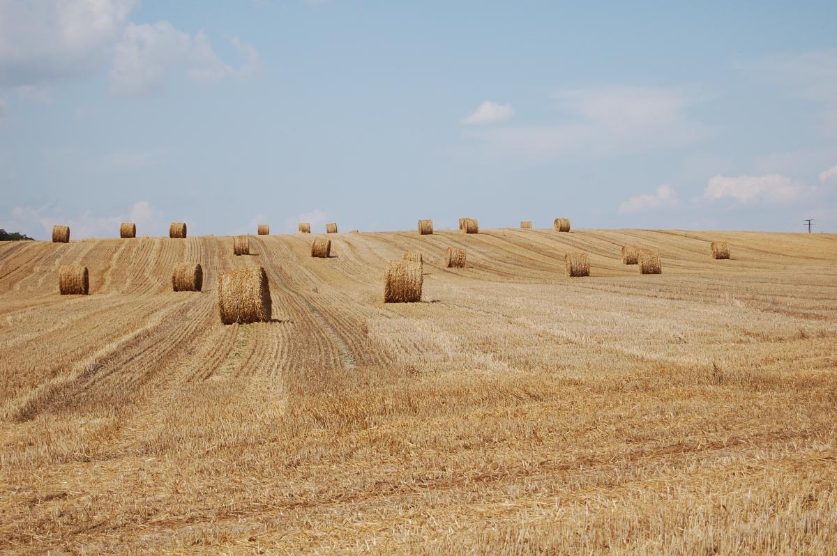 https://c.pxhere.com/photos/6b/d5/late_summer_harvest_hay_bales-1122829.jpg!d