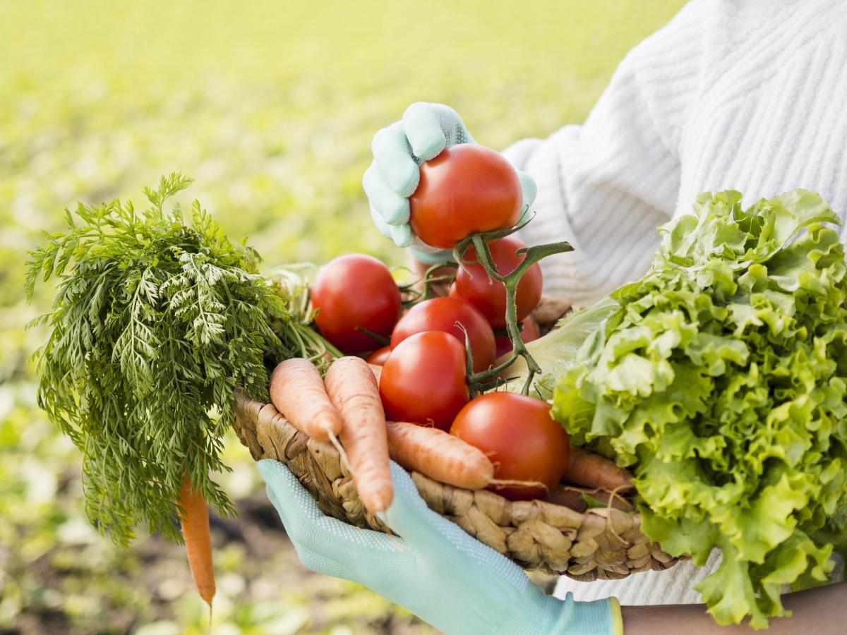 https://www.freepik.com/free-photo/woman-holding-basket-full-vegetables-close-up_8797878.htm#query=field%20vegetable&position=1&from_view=search&track=ais