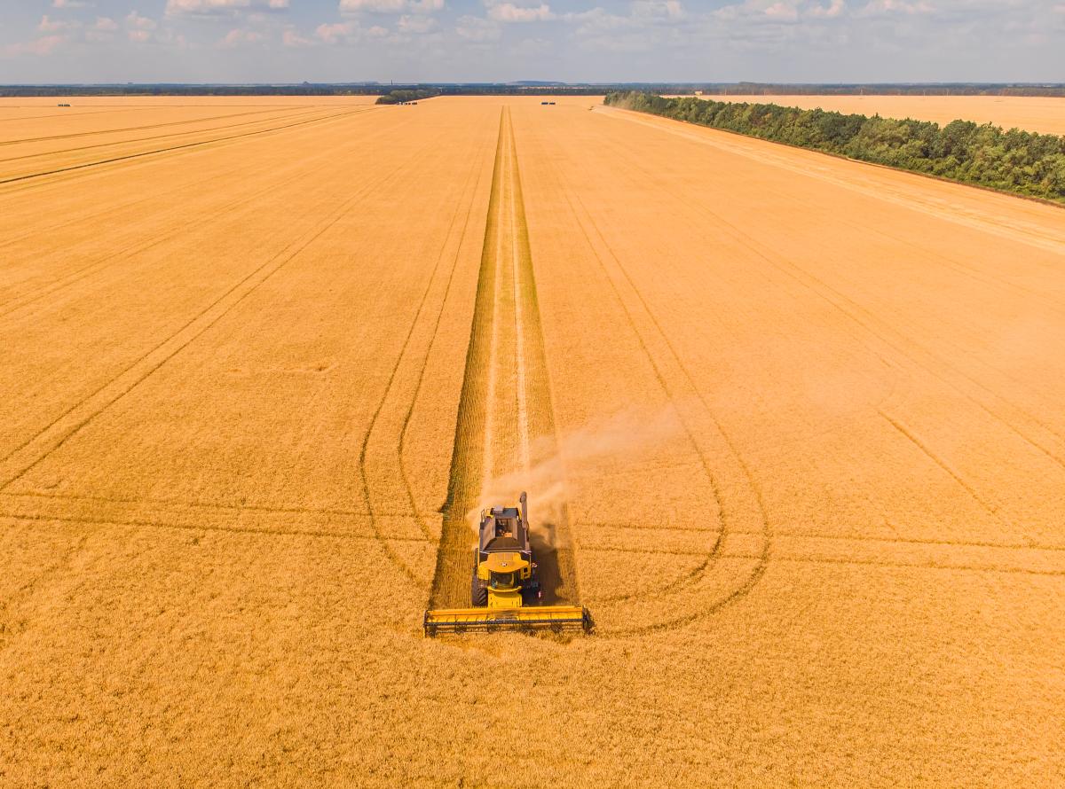 https://ru.freepik.com/free-photo/aerial-view-of-summer-harvest-combine-harvester-harvesting-large-field_27254890.htm#query=%D0%BF%D0%BE%D0%BB%D0%B5%20%D0%BA%D0%BE%D0%BC%D0%B1%D0%B0%D0%B8%D0%BD&position=46&from_view=search&track=ais