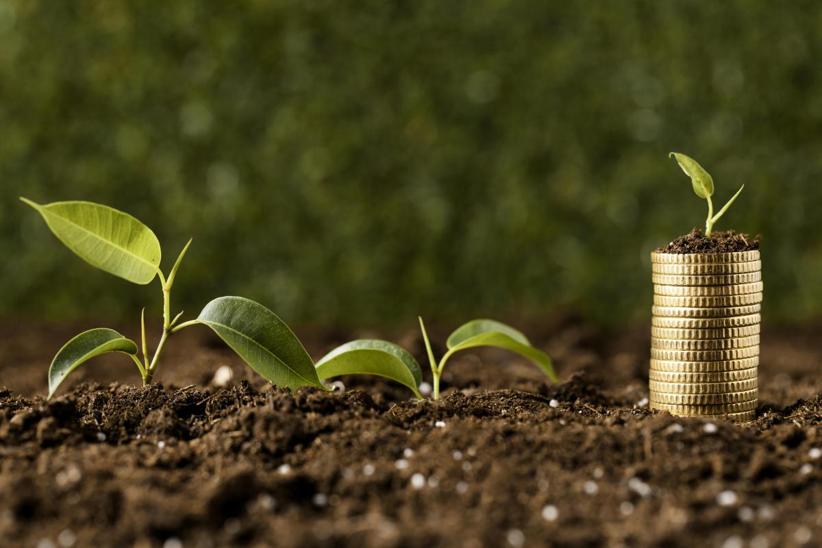 https://www.freepik.com/free-photo/front-view-plants-with-coins-stacked-dirt_11764132.htm#query=%D0%B4%D0%B5%D0%BD%D1%8C%D0%B3%D0%B8%20%D1%81%D0%B5%D0%BB%D1%8C%D1%81%D0%BA%D0%BE%D0%B5%20%D1%85%D0%BE%D0%B7%D1%8F%D0%B9%D1%81%D1%82%D0%B2%D0%BE&position=36&fr