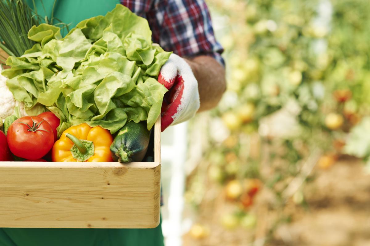 https://www.freepik.com/free-photo/close-up-box-with-ripe-vegetables_11600575.htm#query=farmer&position=33&from_view=search&track=sph