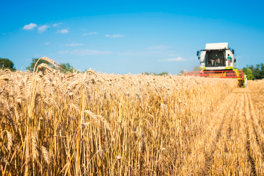 https://ru.freepik.com/free-photo/combine-harvester-working-in-the-wheat-field_11133944.htm#query=Комбайн%20в%20поле&position=5&from_view=search&track=ais