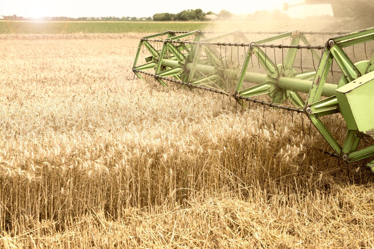https://www.freepik.com/free-photo/combine-harvester-working-wheat-field_11133819.htm#query=grain%20crops&position=28&from_view=search&track=ais