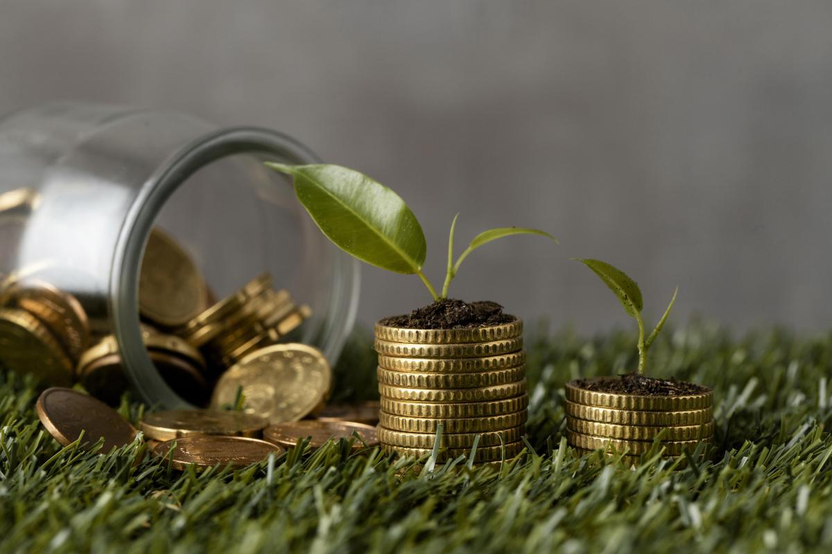 https://www.freepik.com/free-photo/front-view-two-stacks-coins-grass-with-jar-plants_11764458.htm?query=господдержка%20в%20сельском%20хозяйстве#from_view=detail_alsolike#position=3&query=господдержка+в+сельском+хозяйстве