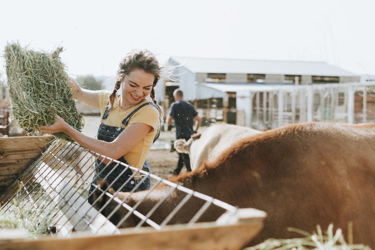 https://ru.freepik.com/free-photo/farmer-taking-care-of-animals_3469675.htm#query=%D0%BF%D1%80%D0%B0%D0%BA%D1%82%D0%B8%D0%BA%D0%B0%20%D0%BD%D0%B0%20%D1%84%D0%B5%D1%80%D0%BC%D0%B5&position=34&from_view=search&track=ais