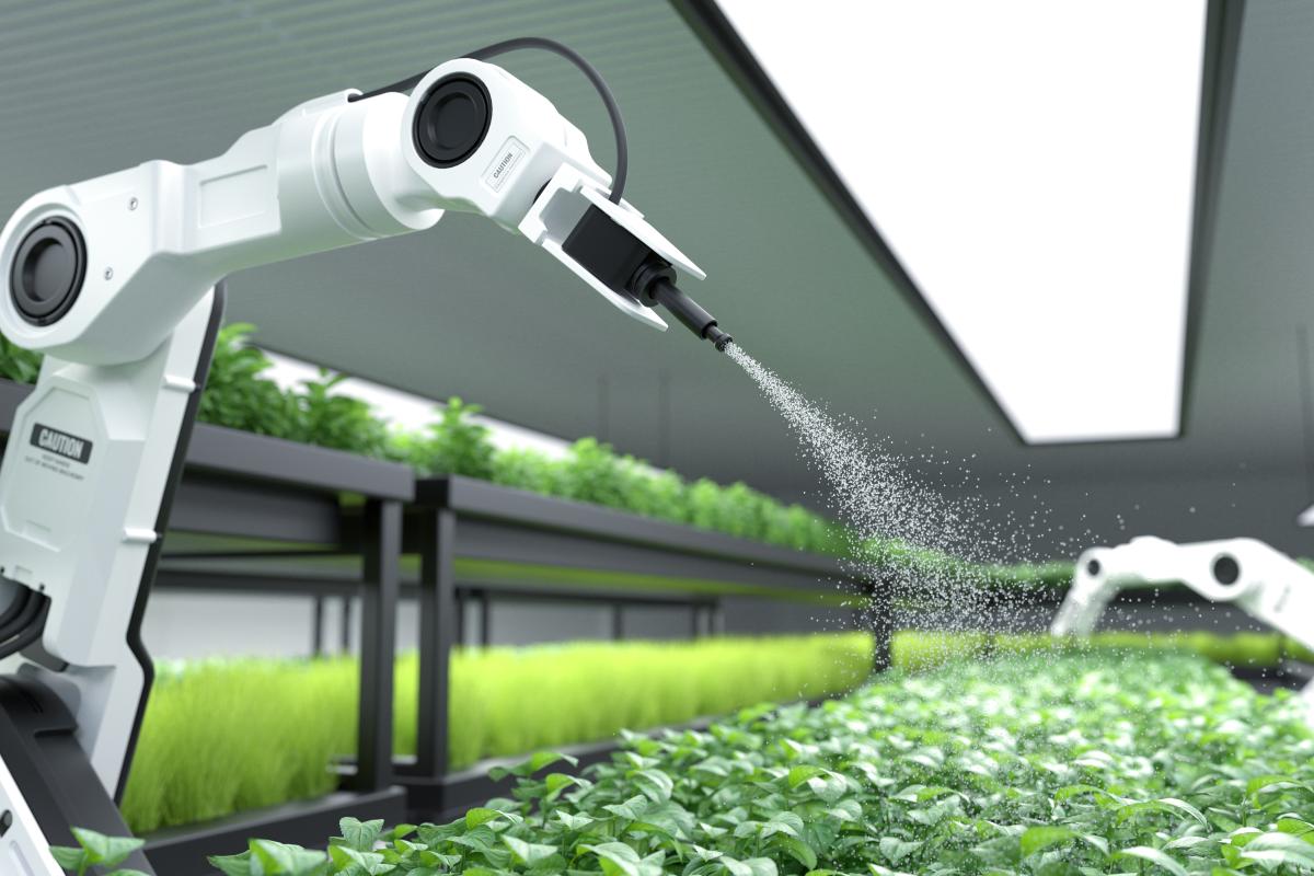 https://ru.freepik.com/free-photo/smart-robotic-farmer-spraying-fertilizer-on-vegetable-green-plants_21544359.htm#query=%D1%84%D0%B5%D1%80%D0%BC%D0%B0%20%D1%80%D0%BE%D0%B1%D0%BE%D1%82%D1%8B&position=4&from_view=search&track=ais