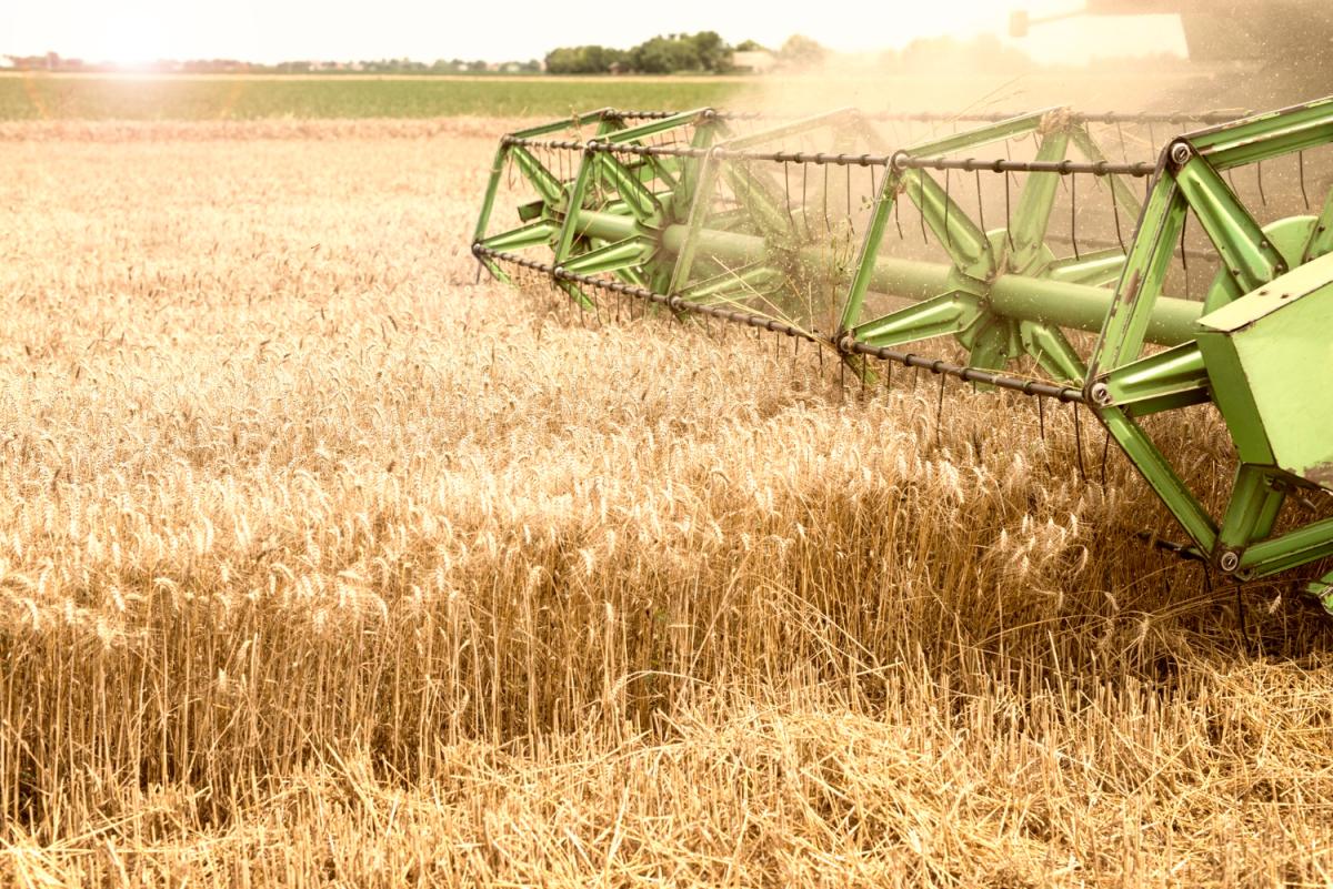 https://www.freepik.com/free-photo/combine-harvester-working-wheat-field_11133819.htm#query=grain%20harvesting&position=13&from_view=search&track=ais