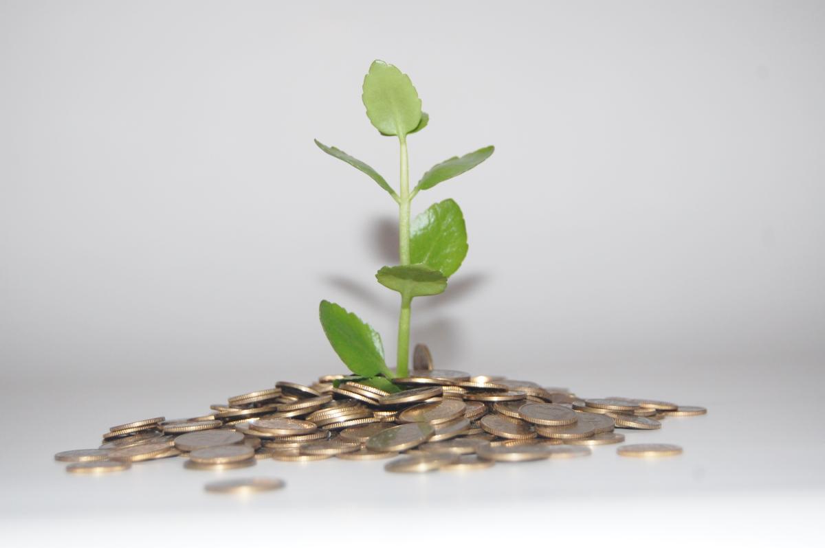 https://c.pxhere.com/photos/41/a1/cigarettes_ashtray_money_waste_of_money_smoking_addiction_plant_foliage-910664.jpg!d