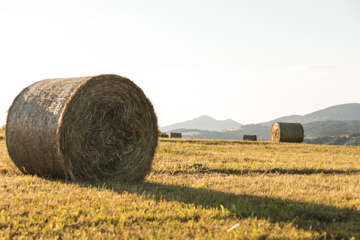 https://ru.freepik.com/free-photo/autumn-landscape-with-big-rolls-of-hays_5272828.htm#query=%D1%81%D0%B5%D0%BD%D0%BE%20%D0%B2%20%D1%82%D1%8E%D0%BA%D0%B0%D1%85&position=6&from_view=search&track=ais