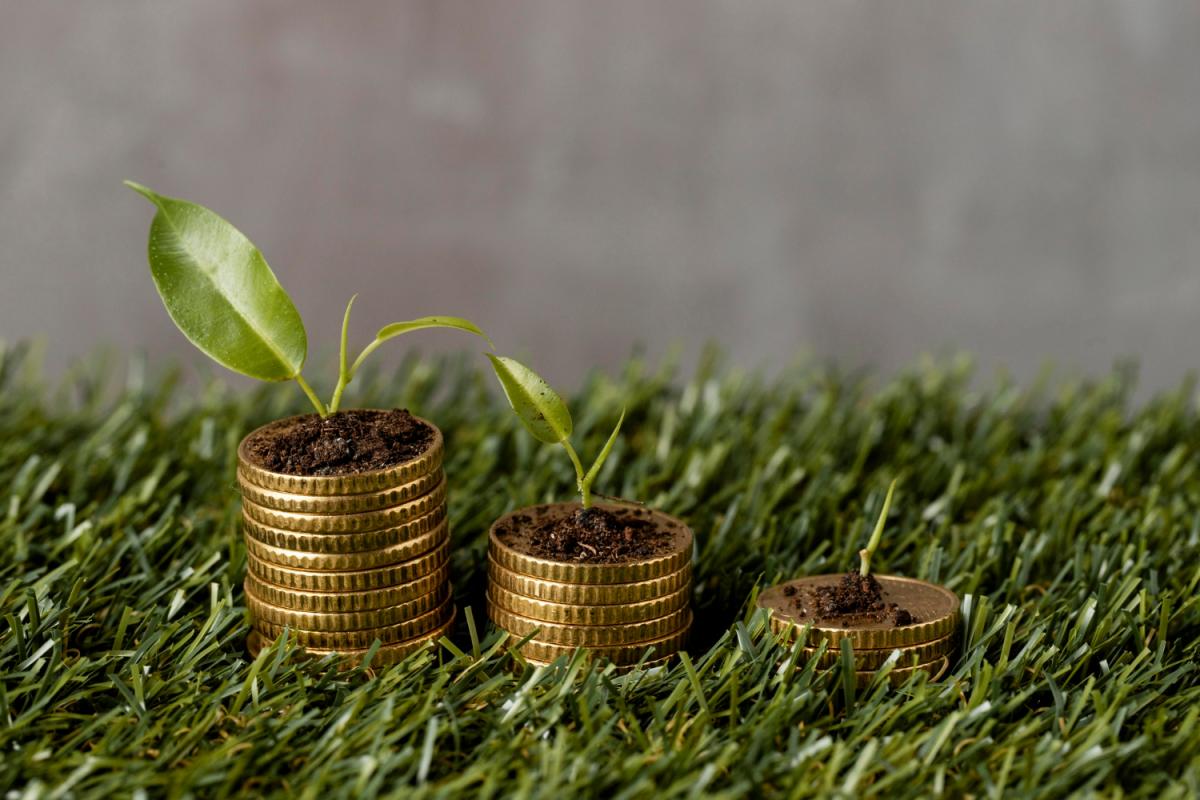 https://www.freepik.com/free-photo/high-angle-three-stacks-coins-grass-with-plants-dirt_11764452.htm#query=деньги%20и%20зерно&position=18&from_view=search&track=ais