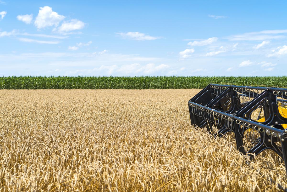 https://ru.freepik.com/free-photo/combine-harvester-working-in-the-field_11133926.htm#query=%D1%83%D0%B1%D0%BE%D1%80%D0%BA%D0%B0%20%D1%83%D1%80%D0%BE%D0%B6%D0%B0%D1%8F&position=24&from_view=search&track=ais