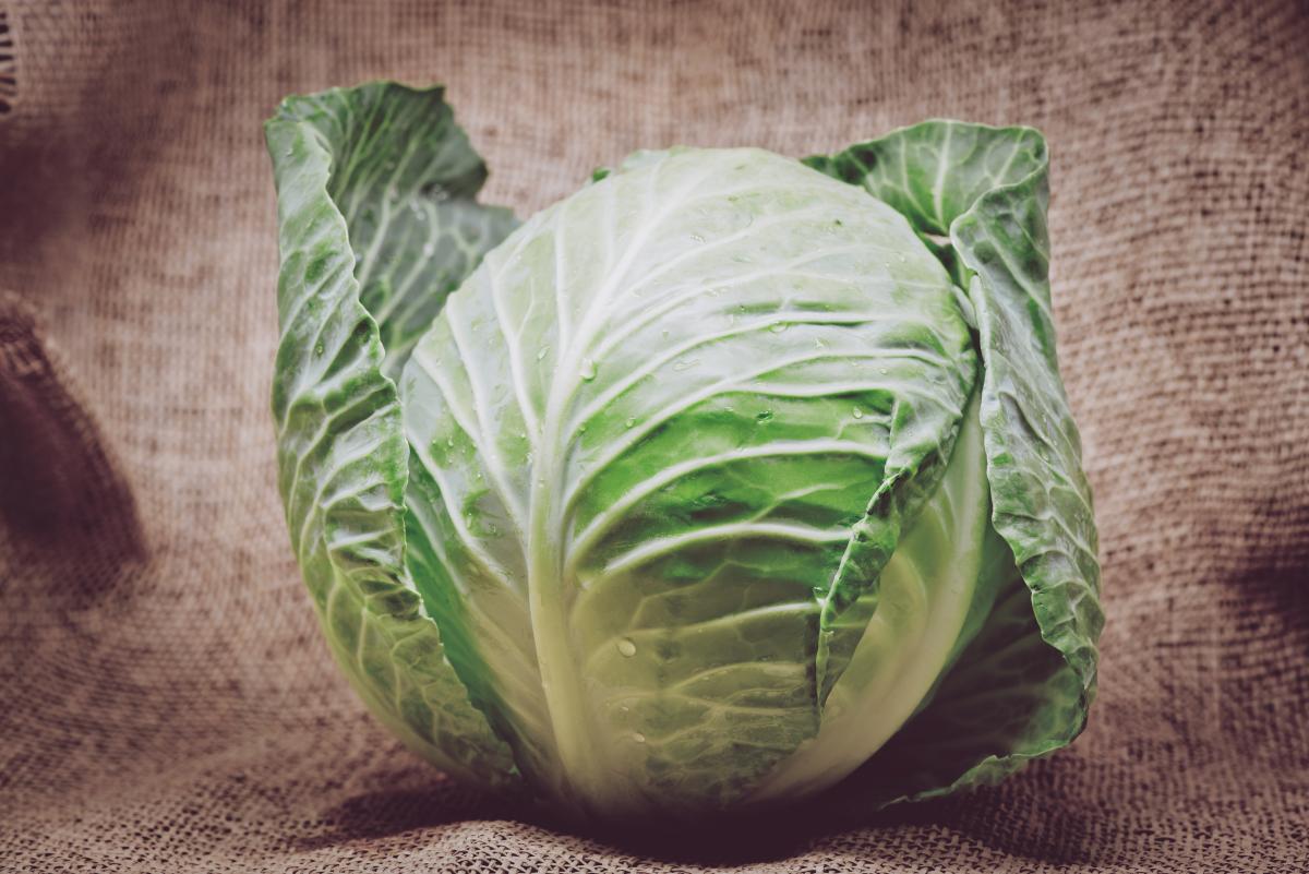 https://www.freepik.com/free-photo/cabbage-burlap-background_1180069.htm#page=3&query=капуста&position=23&from_view=search&track=ais