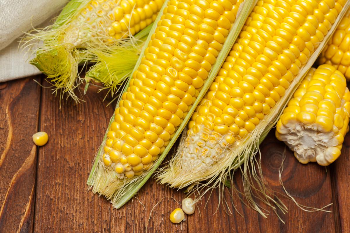 https://www.freepik.com/free-photo/fresh-corn-wooden-table_20979825.htm#page=2&query=%D0%BA%D1%83%D0%BA%D1%83%D1%80%D1%83%D0%B7%D0%B0%20%D0%B2%20%D0%BF%D0%BE%D0%BB%D0%B5&position=10&from_view=search&track=ais