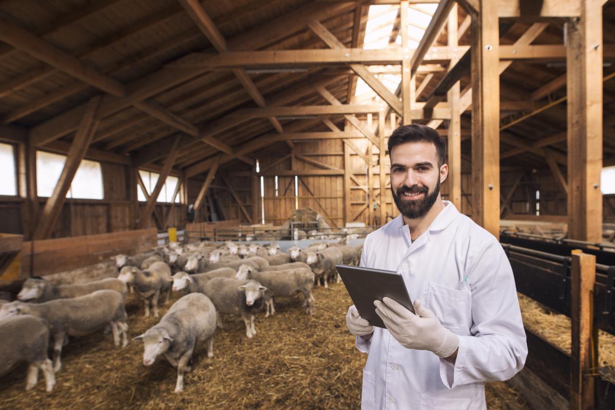 https://www.freepik.com/free-photo/portrait-veterinarian-dressed-white-coat-with-rubber-gloves-standing-sheep-domestic-farm_11036650.htm#page=2&query=digitalization%20dairy&position=31&from_view=search&track=ais