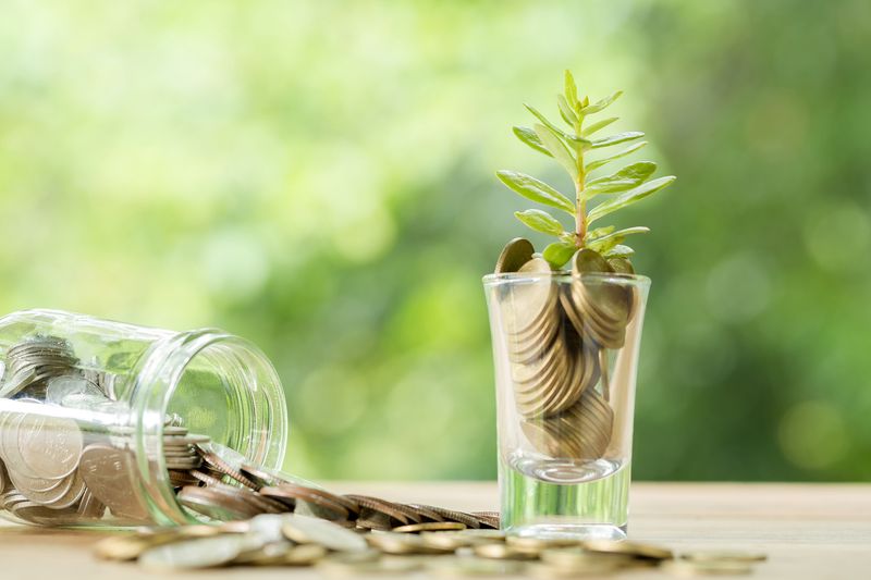 https://ru.freepik.com/free-photo/coins-in-a-glass-with-a-small-tree_5508843.htm#page=5&query=%D0%B4%D0%B5%D0%BD%D1%8C%D0%B3%D0%B8%20%D0%B2%20%D1%81%D0%B5%D0%BB%D0%BE&position=21&from_view=search&track=ais