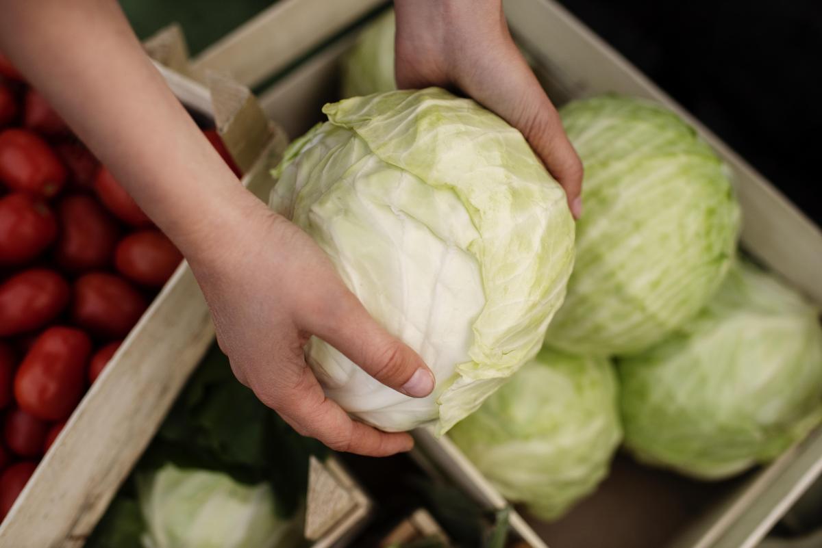 https://ru.freepik.com/free-photo/close-up-on-delicious-organic-cabbage_19118550.htm#query=%D0%BA%D0%B0%D0%BF%D1%83%D1%81%D1%82%D0%B0&position=1&from_view=search&track=sph