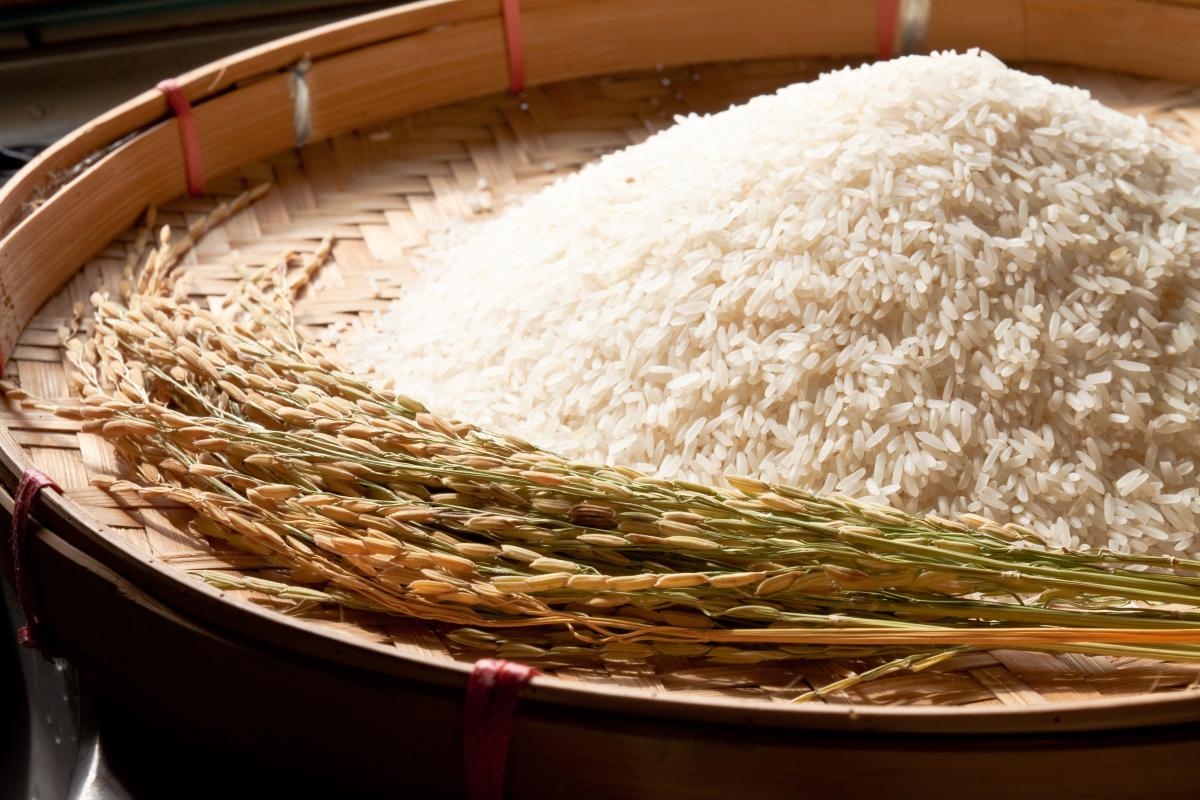 https://ru.freepik.com/free-photo/closeup-food-staple-white-wooden_1047429.htm#page=2&query=%D1%83%D0%B1%D0%BE%D0%BA%D0%B0%20%D1%80%D0%B8%D1%81%D0%B0&position=0&from_view=search&track=ais