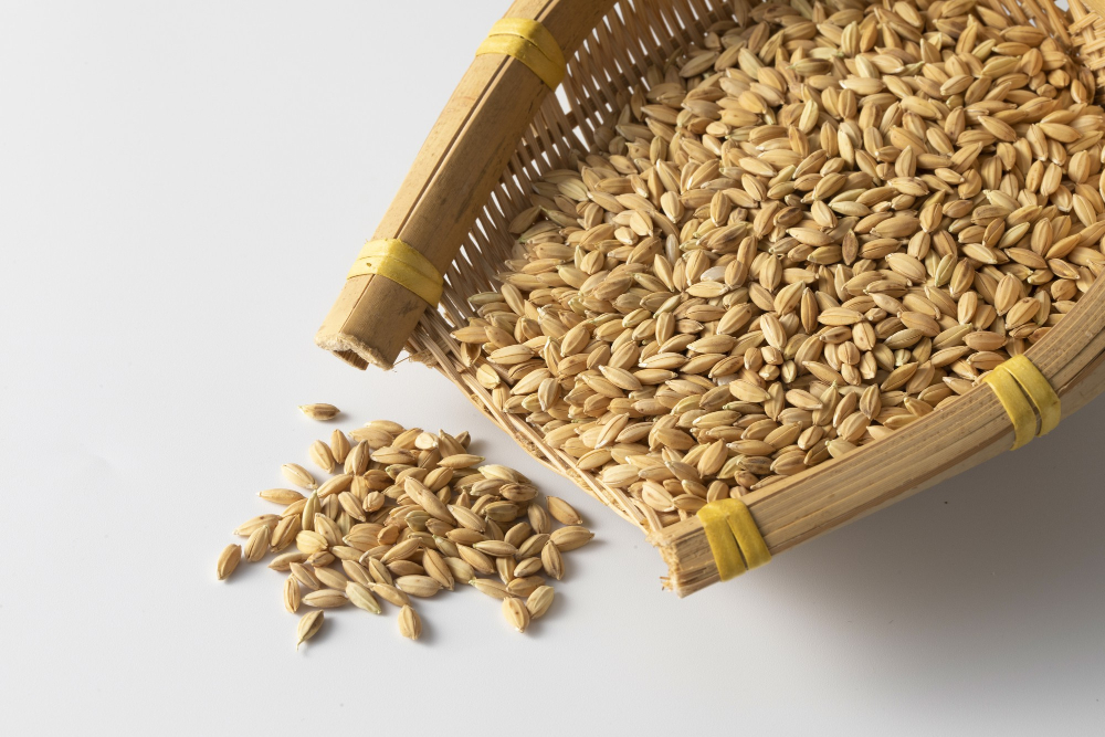 https://ru.freepik.com/free-photo/closeup-shot-of-a-heap-of-oats-grains_13337960.htm#page=3&query=Зерно%20ячменя&position=27&from_view=search&track=ais