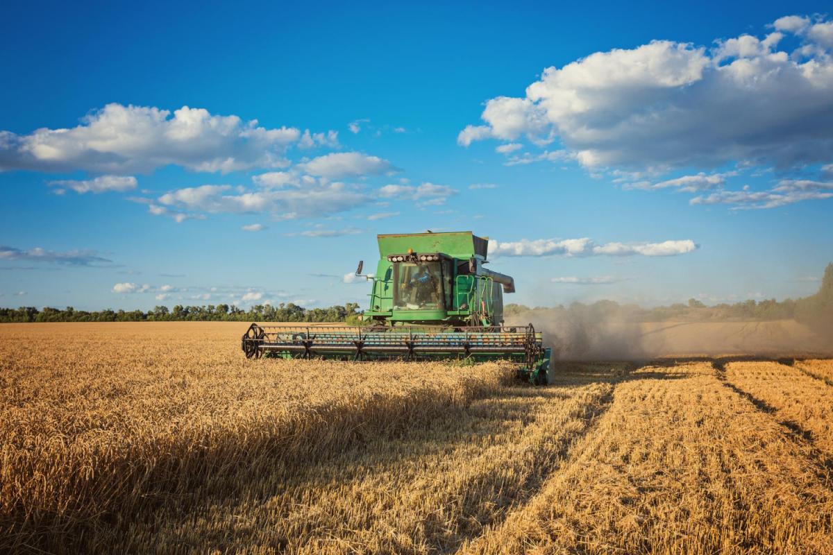 https://www.freepik.com/free-photo/harvesting-combine-field_29066451.htm#page=7&query=зерно&position=8&from_view=search&track=ais