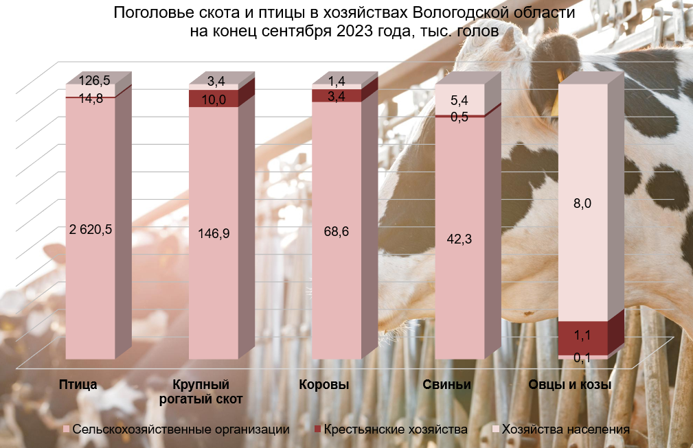 Поголовье скота и птицы в хозяйствах Вологодской области на конец сентября 2023 года, тыс. голов