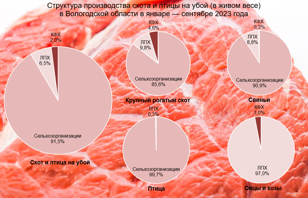 Структура производства скота и птицы на убой (в живом весе) в Вологодской области в январе — сентябре 2023 года