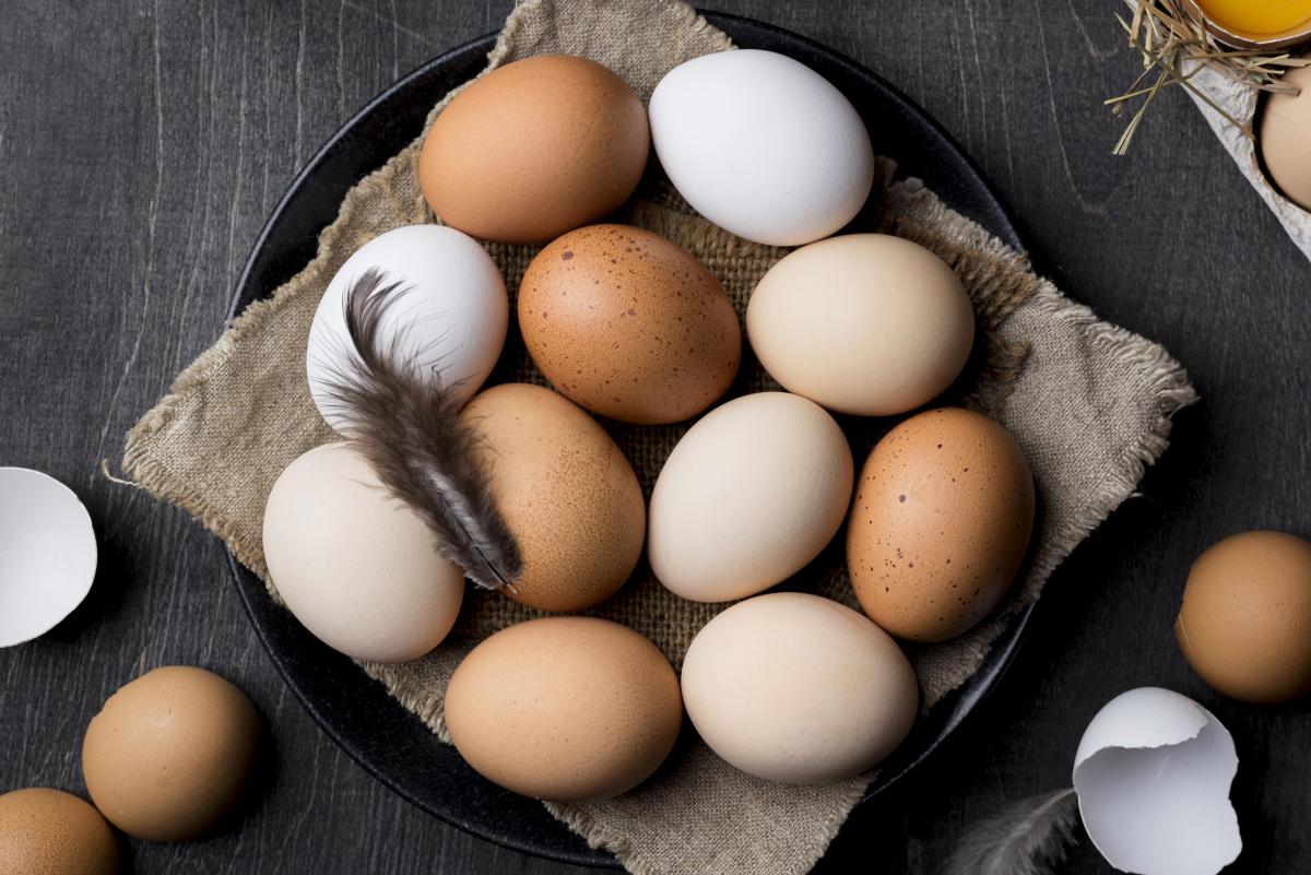 https://ru.freepik.com/free-photo/top-view-fresh-chicken-eggs_8967594.htm?query=яйцо%20и%20цыпленок#from_view=detail_alsolike