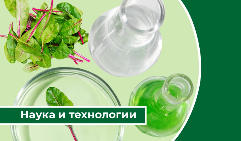 Дайджест «Наука и технологии»: Крымские ученые разработали метод обработки почвы и семян без пестицидов