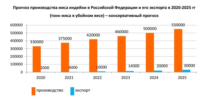 Производство индейки в России в 2019 году