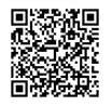 Что содержит QR-код на бланке СДИЗ?