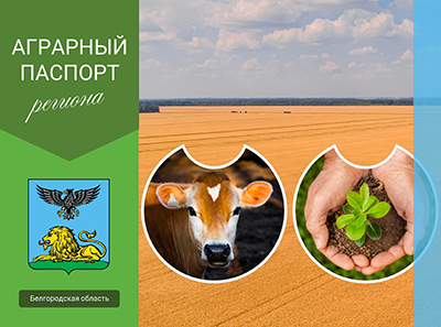 паспорт региона
