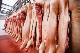 В Пензенской области растет производство животноводческой продукции 
