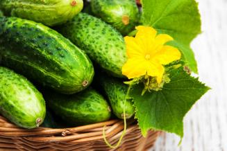 Цены производителей на сельхозпродукцию в Липецкой области