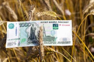 За две недели Сбербанк направил в Минсельхоз более 700 заявок на льготное кредитование