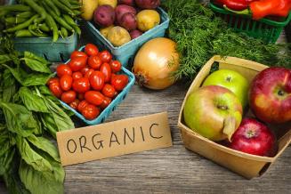 «Роскачество» бесплатно сертифицирует органические продукты для МСП