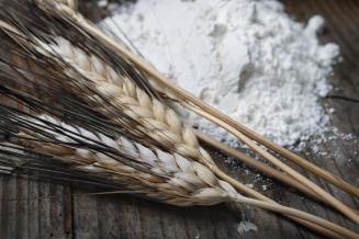 Исследование рынка продукции глубокой переработки зерна в России