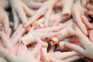 Россия отправила в Китай первую партию птицеводческой продукции по железной дороге