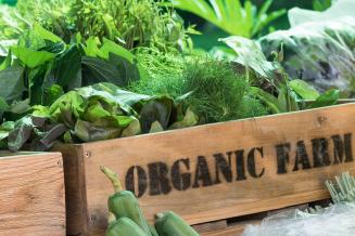 ЕАЭС создаст систему регулирования обращения органической продукции