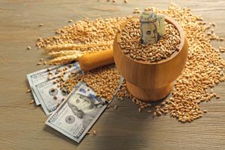 Экспорт продукции АПК из Воронежской области с начала года составил 169,7 млн долл. США
