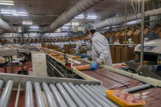 В Ростовской области планируется возобновить производство мяса утки