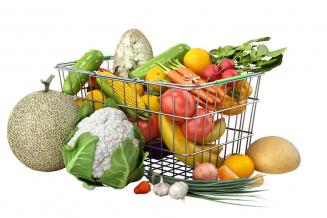 В России скоро может появиться новый бренд экопродуктов «Зеленый стандарт» 