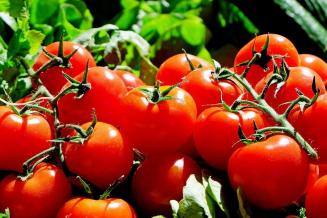 Обзор цен на основные виды сельхозпродукции и продовольствия в Новосибирской области